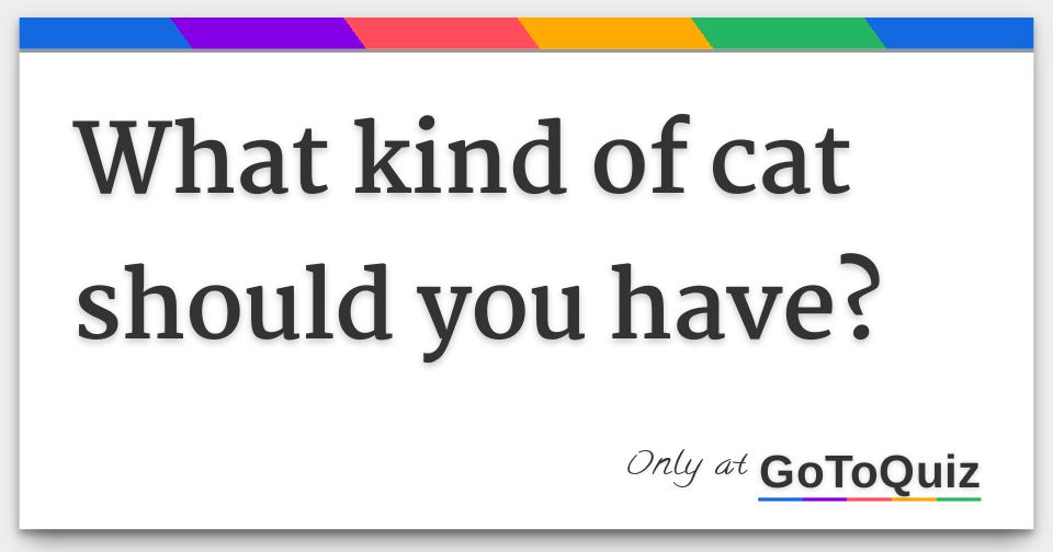 What kind of cat should you have?