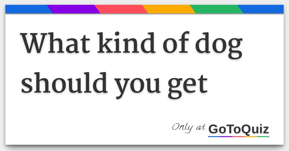 Results what kind of dog should you get
