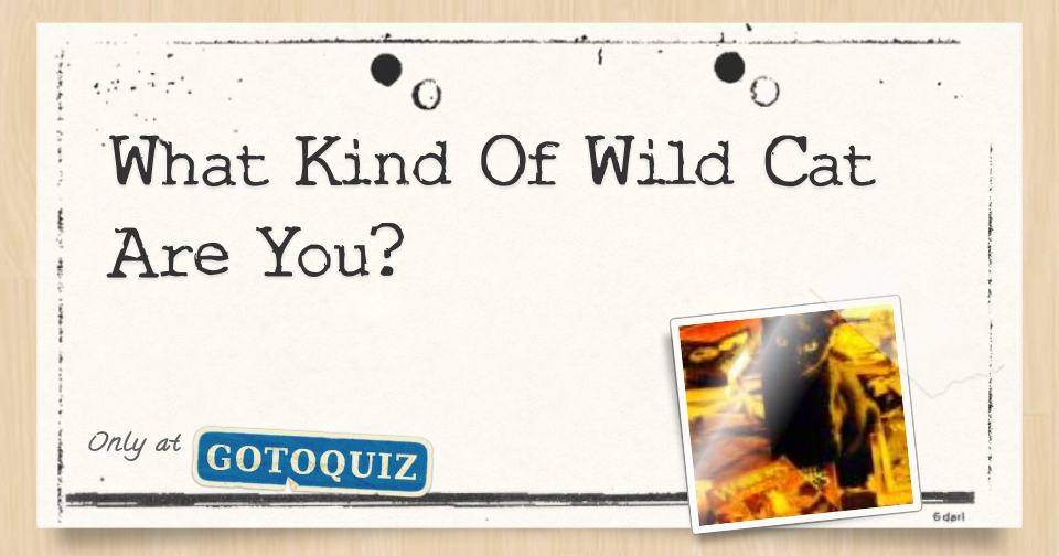 What Kind Of Wild Cat are You?