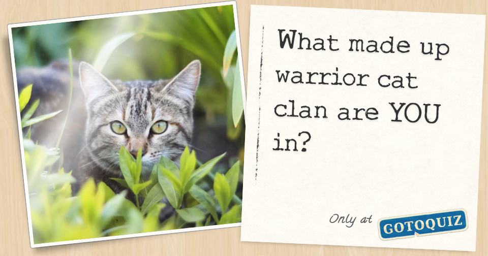 What made up warrior cat clan are YOU in?
