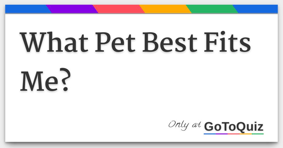 What Pet Best Fits Me?