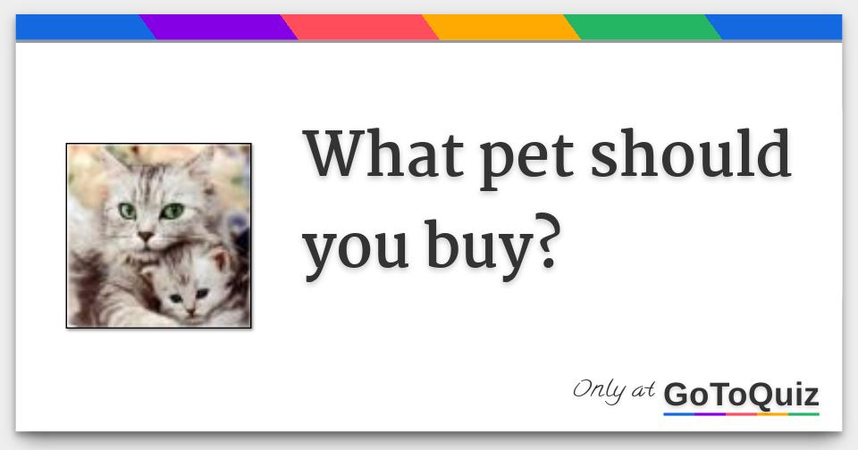 What pet should you buy?