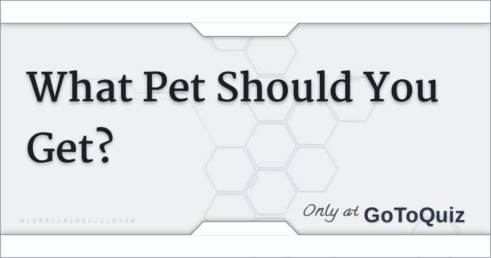 What Pet Should You Get?