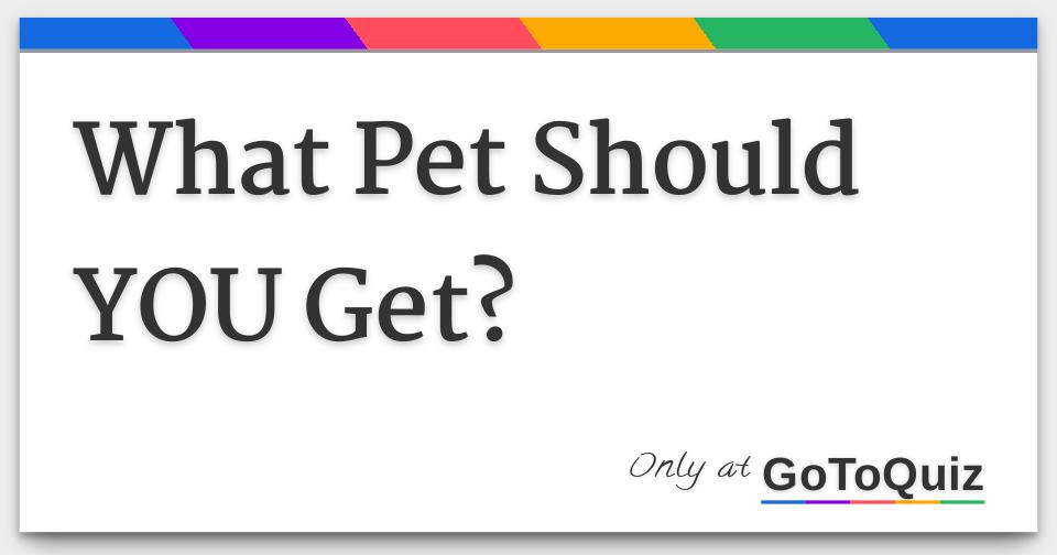 What Pet Should YOU Get? by Bailee