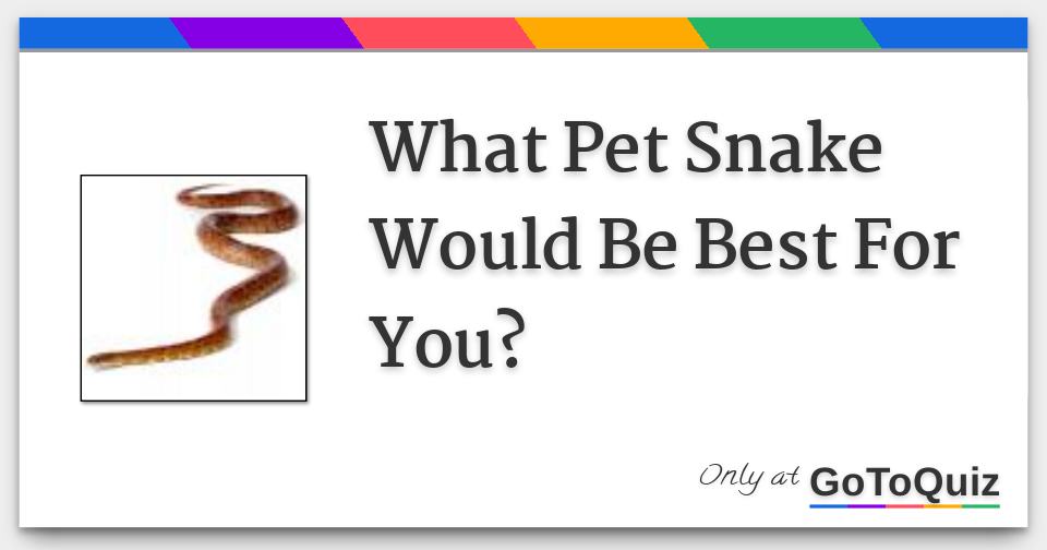 What Pet Snake Would Be Best For You?