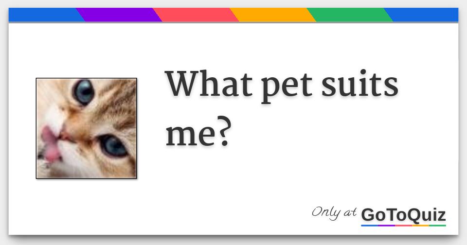 What pet suits me?