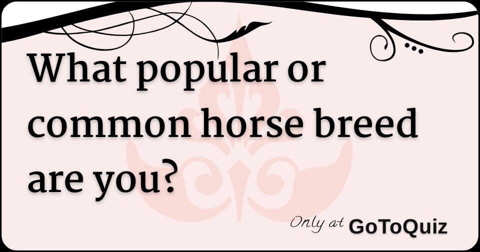 What popular or common horse breed are you?