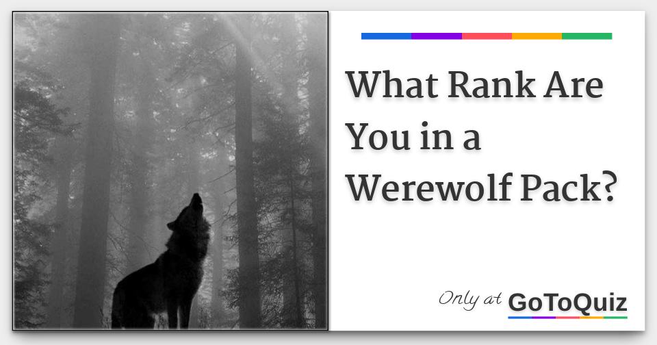 What Rank Are You in a Werewolf Pack?