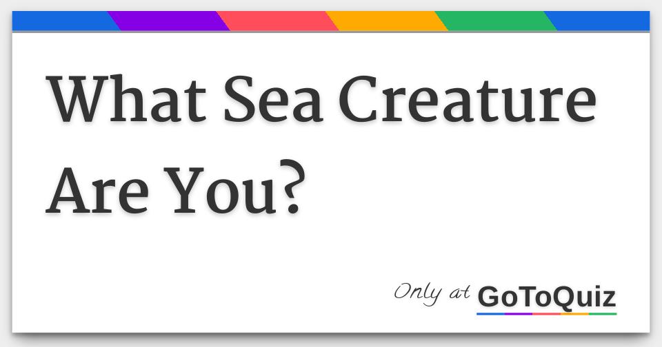 What Sea Creature Are You?