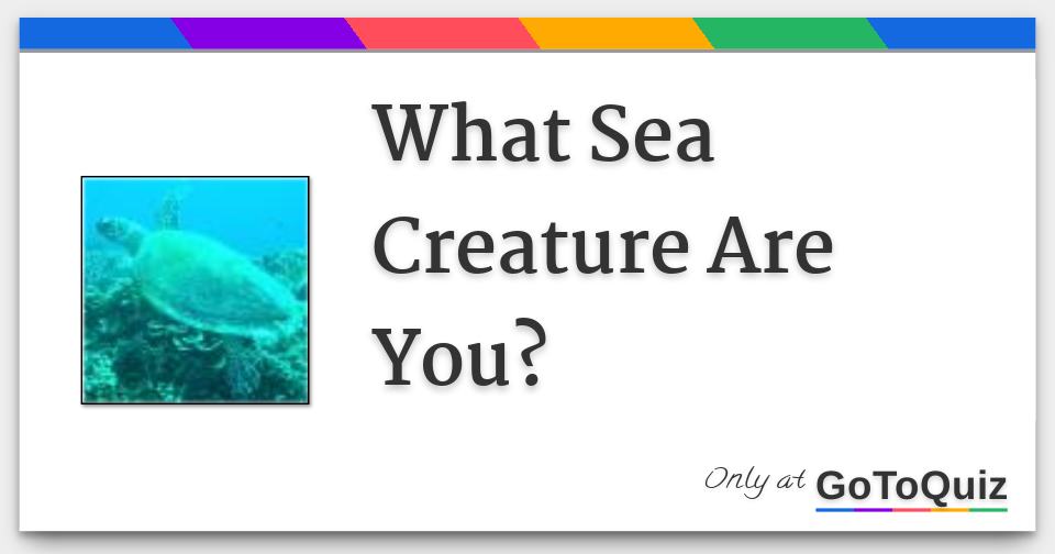 What Sea Creature Are You?