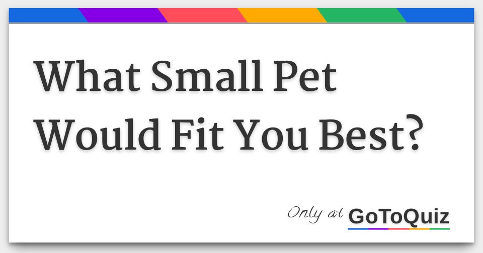 What Small Pet Would Fit You Best?