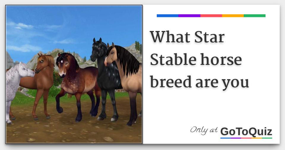 What Star Stable horse breed are you Comments, Page 1