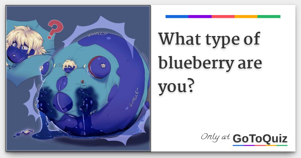 What type of blueberry are you?