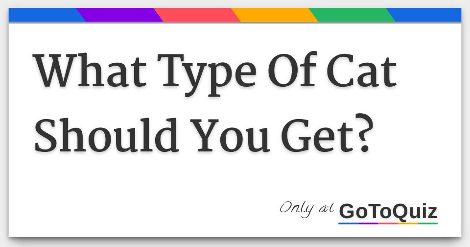 What Type Of Cat Should You Get?