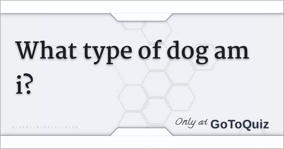 what type of dog am i?