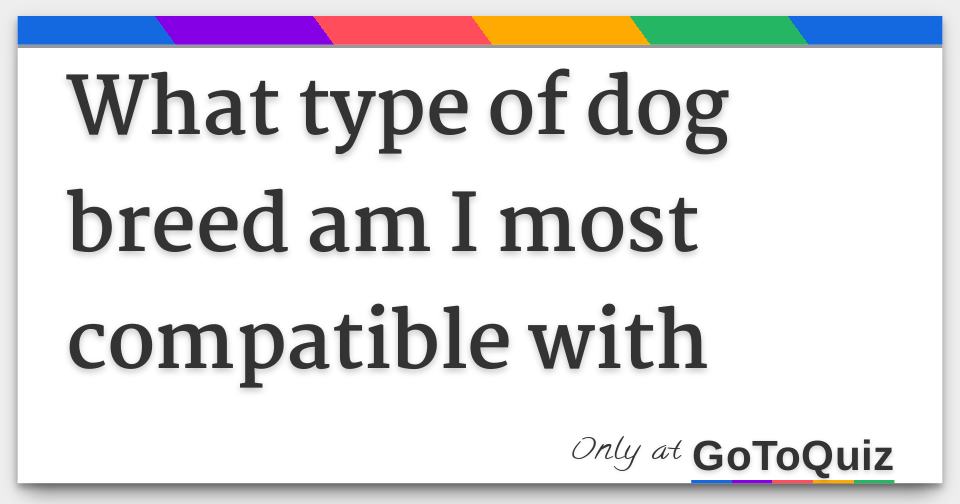 What type of dog breed am I most compatible with