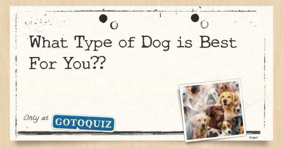 What Type of Dog is Best For You??