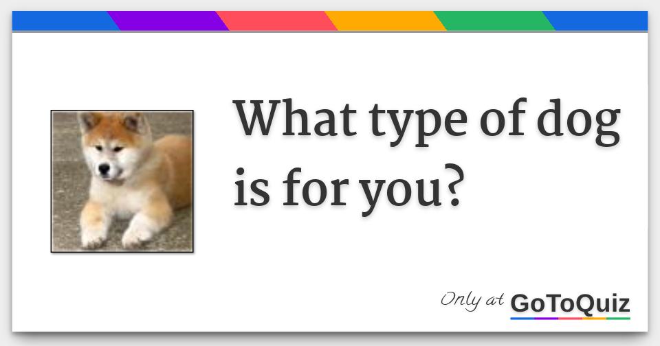 What type of dog is for you?