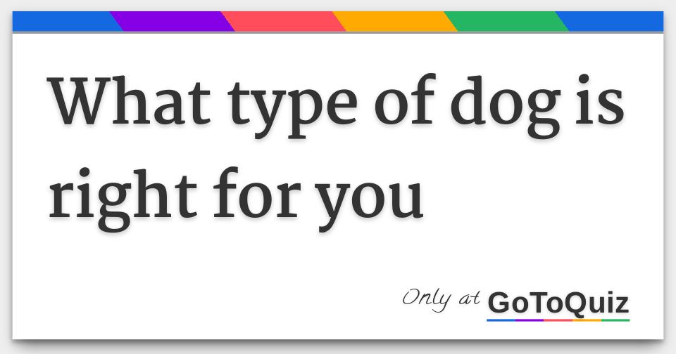 Results What type of dog is right for you