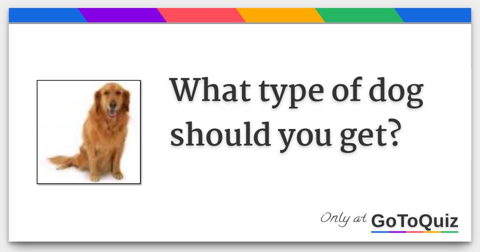 What type of dog should you get?