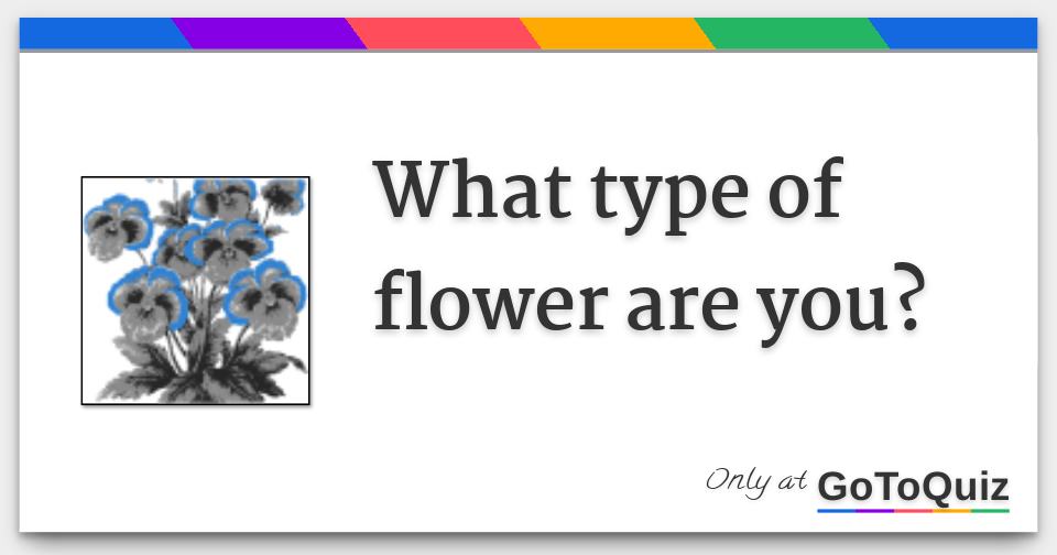 What type of flower are you?