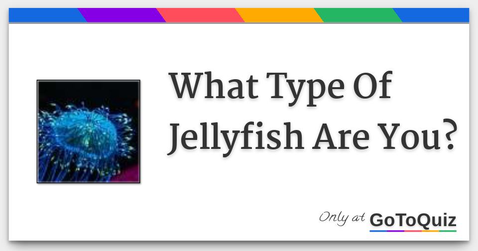 What Type Of Jellyfish Are You?