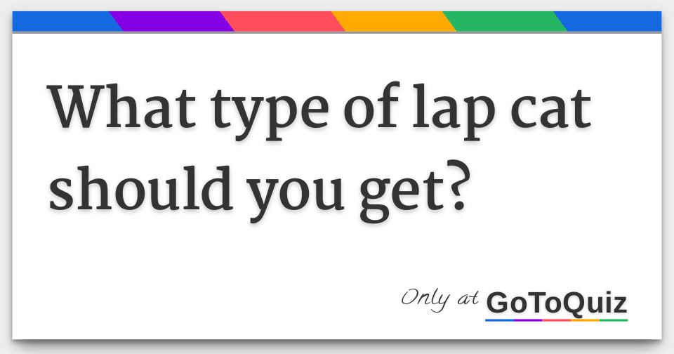 What type of lap cat should you get?