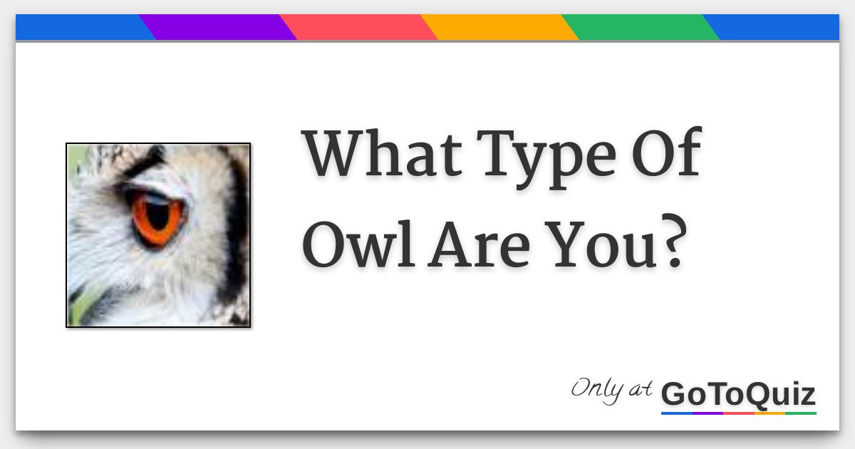 What Type Of Owl Are You?