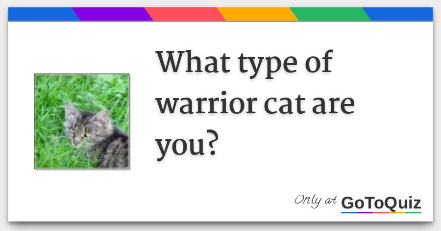 What Type Of Warrior Cat Are You
