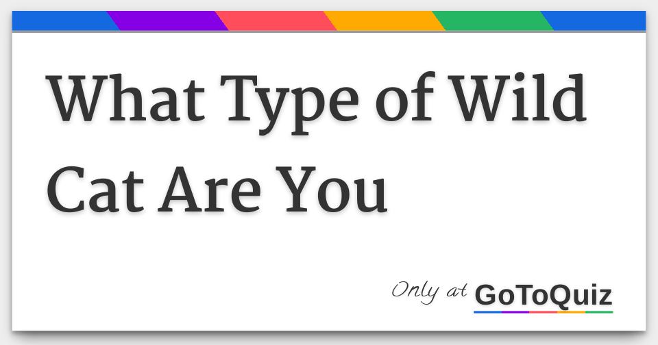 What Type of Wild Cat Are You