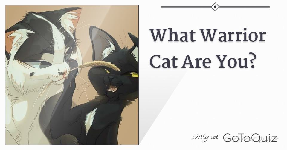 What Warrior Cat Are You? With 8 Results