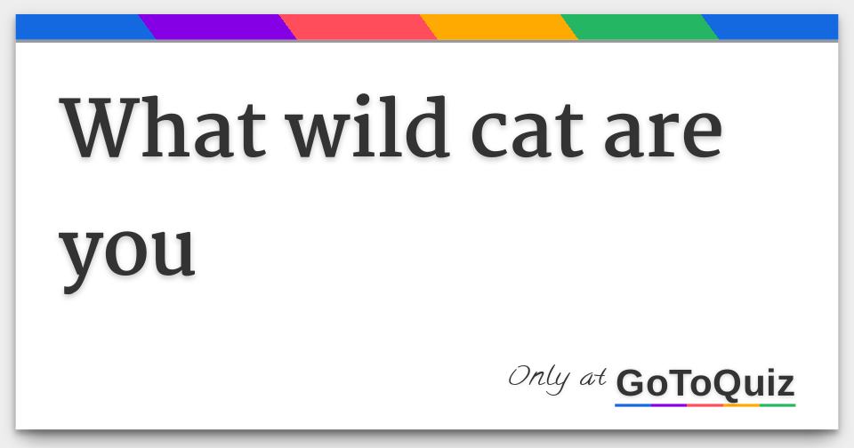 what wild cat are you