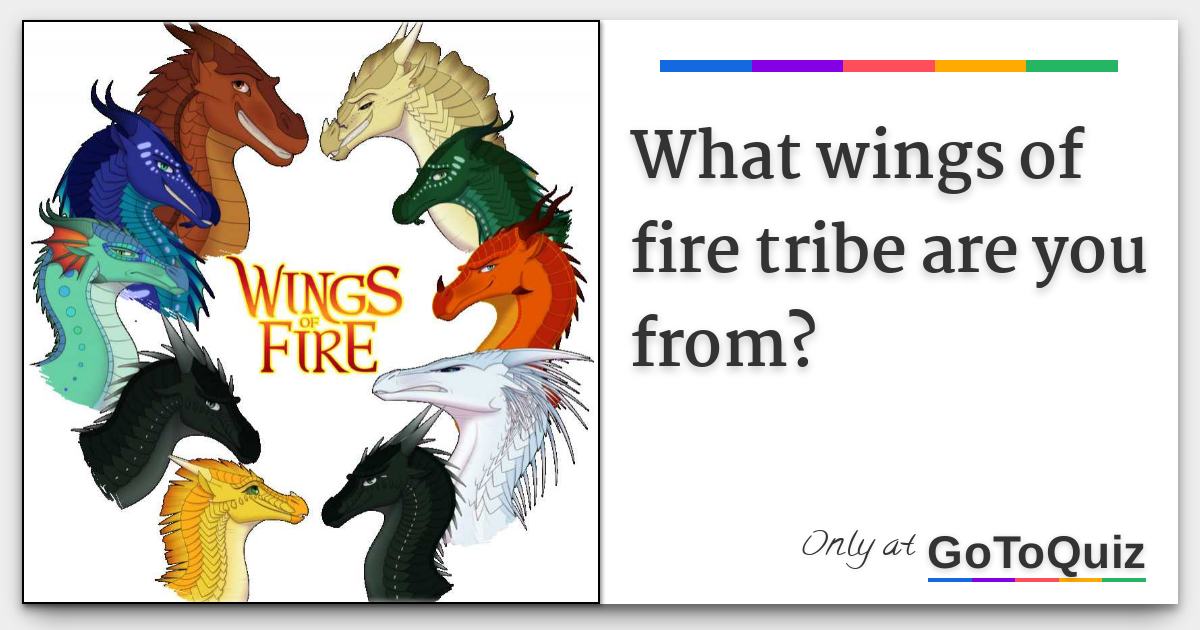 what wings of fire tribe are you from?