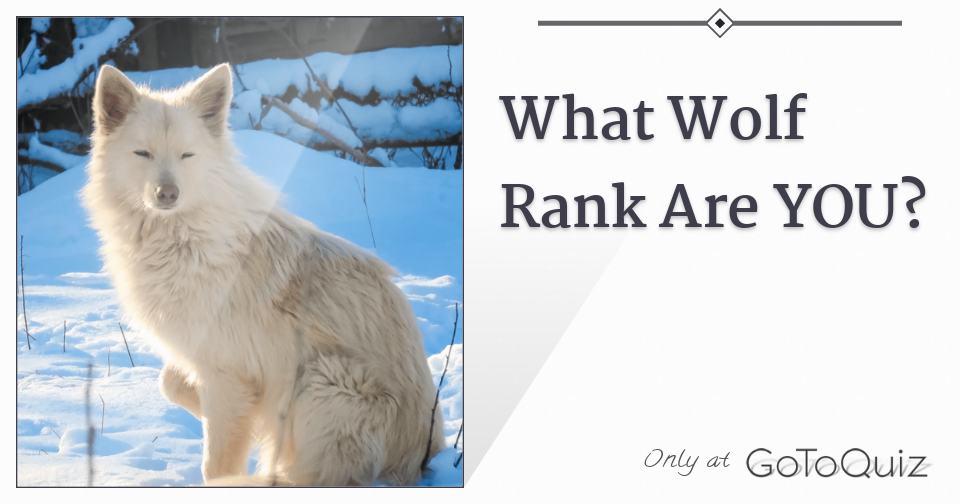 What Wolf Rank Are YOU?