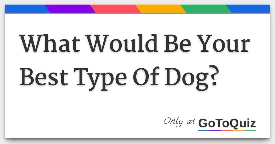 What Would Be Your Best Type Of Dog?