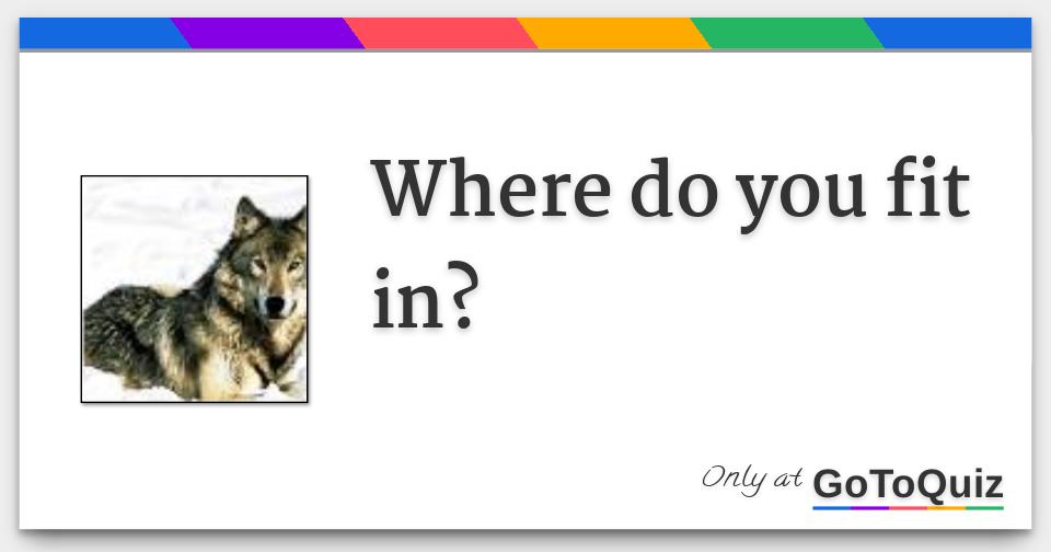 Where Do You Fit