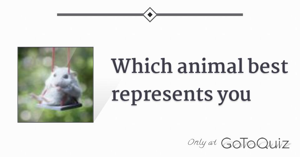 Which animal best represents you