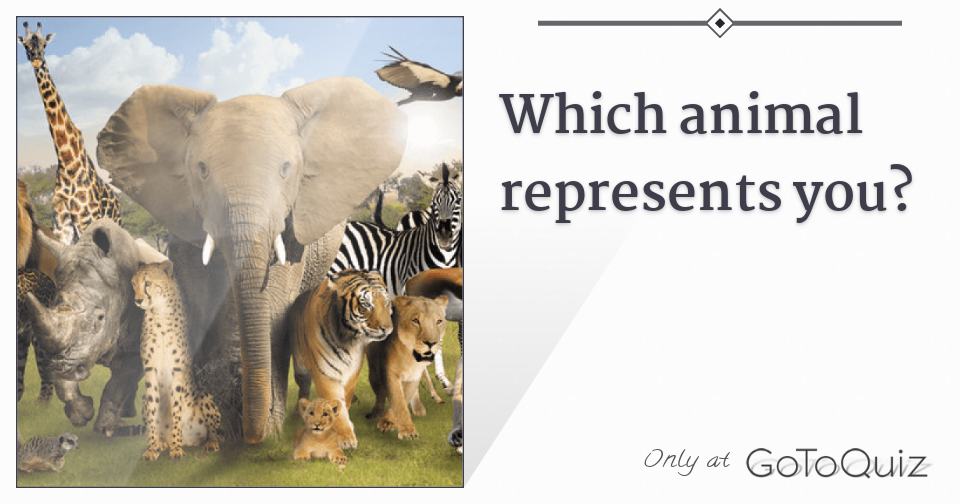 Which animal represents you?
