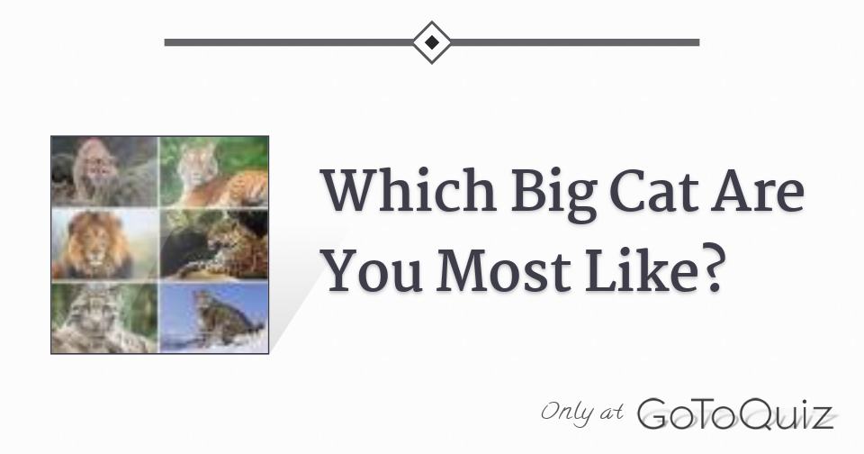 Which Big Cat Are You Most Like?