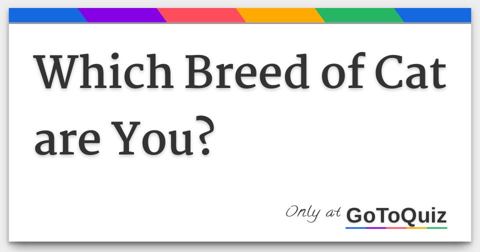 Which Breed of Cat are You?