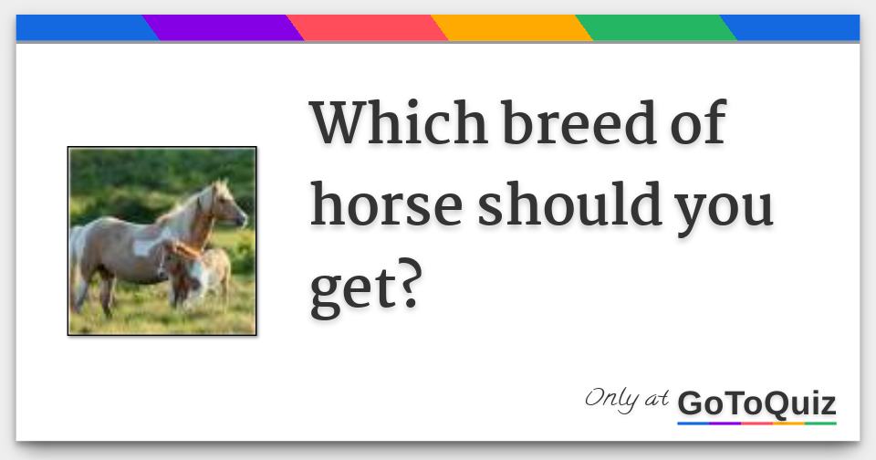 Which breed of horse should you get?