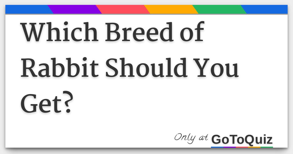 Which Breed of Rabbit Should You Get?