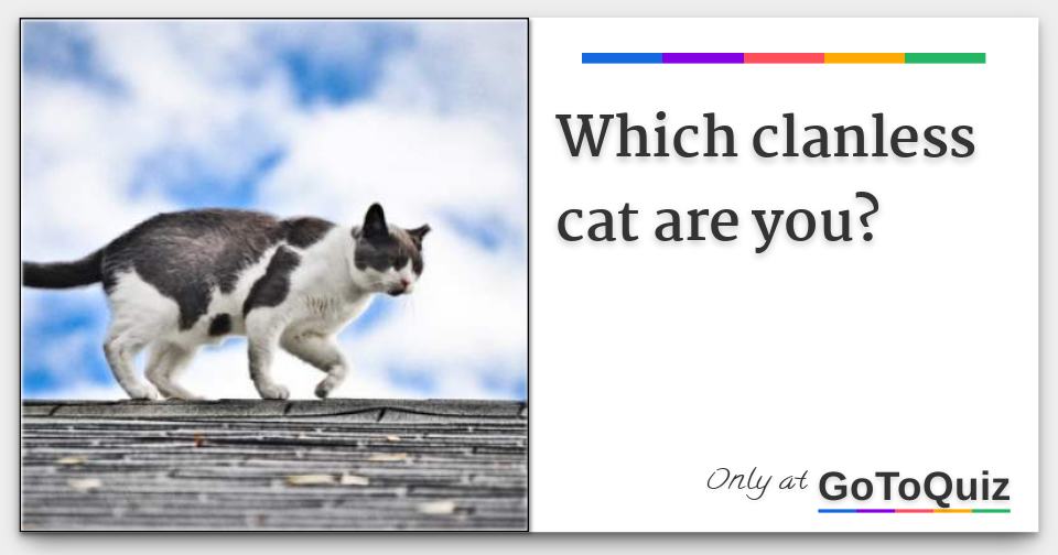 Which clanless cat are you?