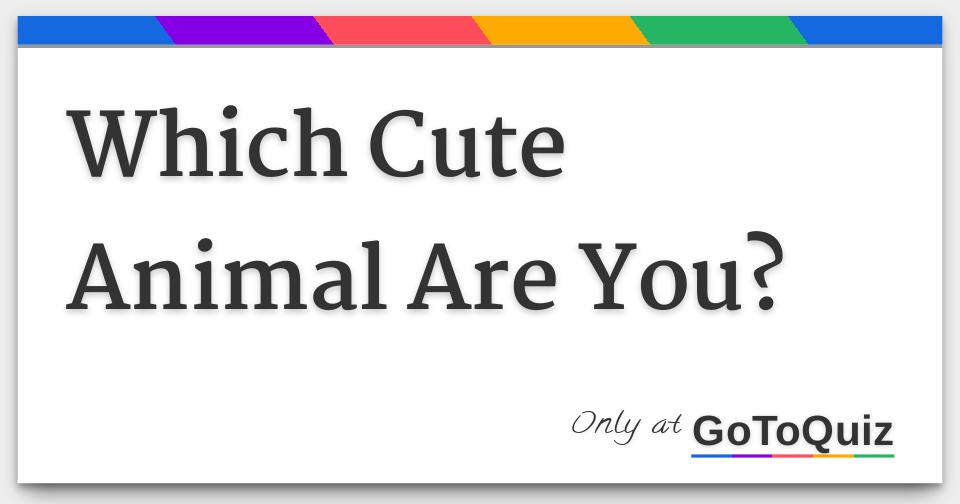 Which Cute Animal Are You?