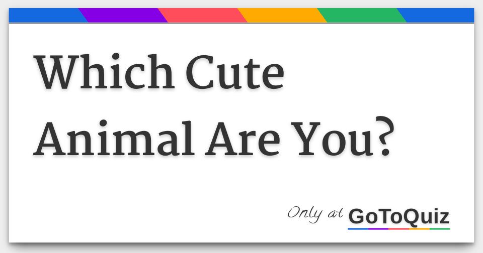 Which Cute Animal Are You? Which Cute Animal Are You?