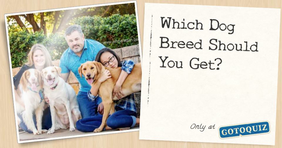 Which Dog Breed Should You Get?