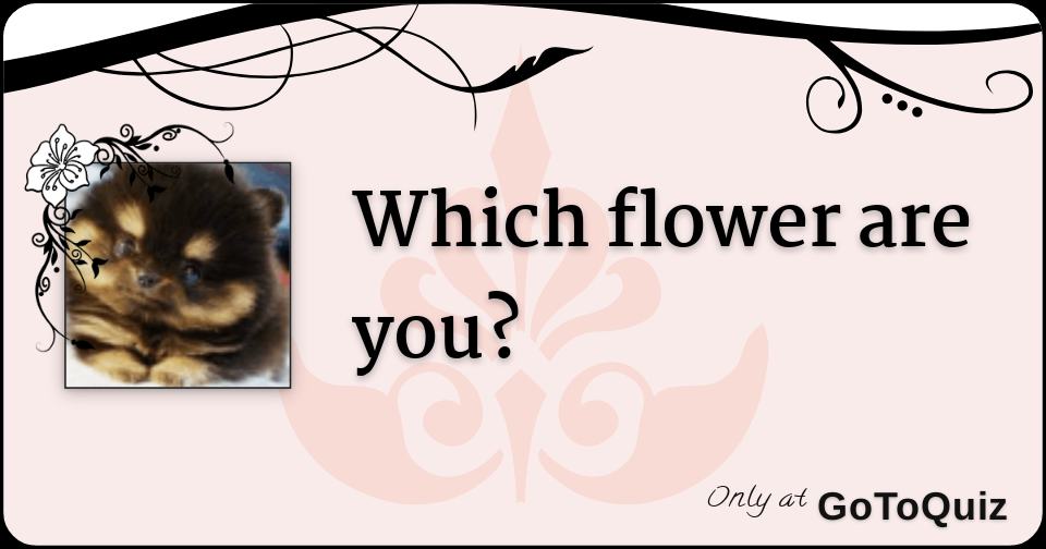 which flower are you?
