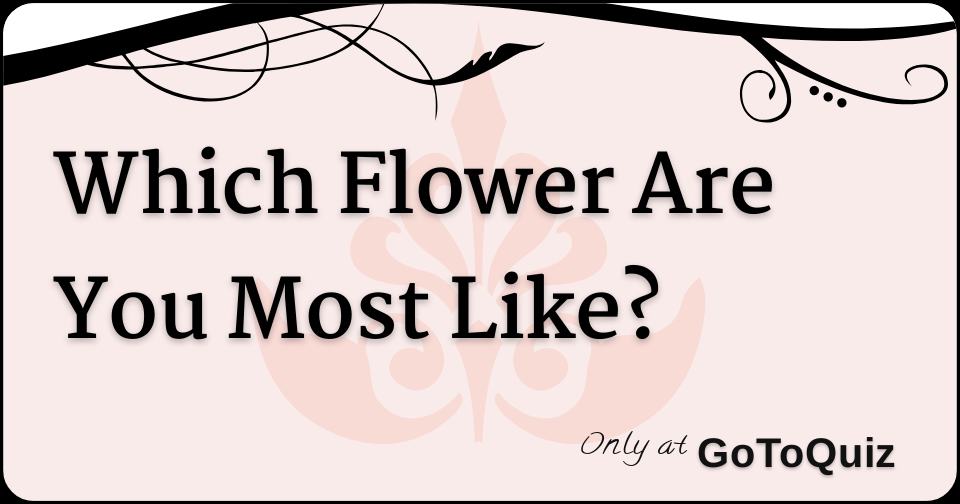Which Flower Are You Most Like?