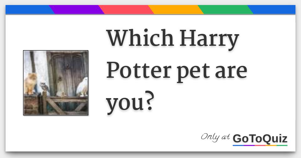 Which Harry Potter pet are you?