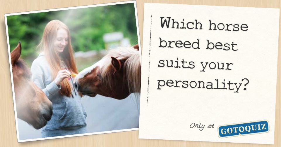 Which horse breed best suits your personality?